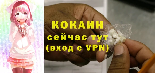 соль ск Касимов