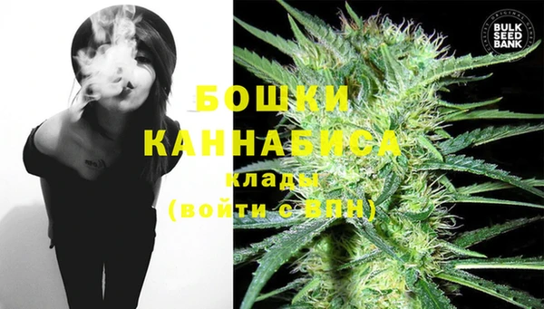 соль ск Касимов