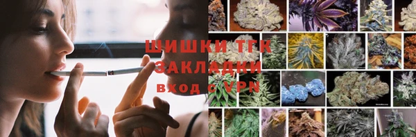 соль ск Касимов