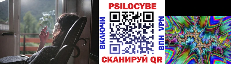 Купить закладки  Заречный  Галлюциногенные грибы GOLDEN TEACHER 